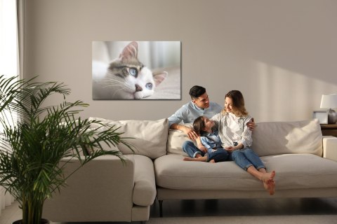 Obraz Na Płótnie Rozmarzony Kotek