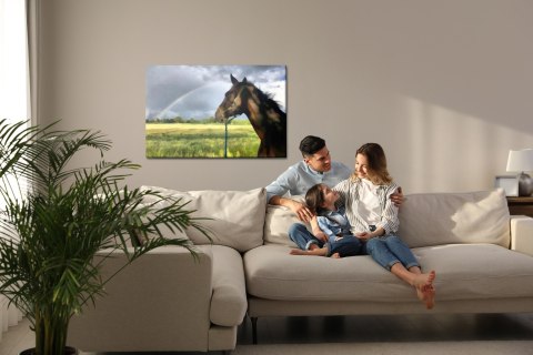 Obraz Na Płótnie Koń Na Łące