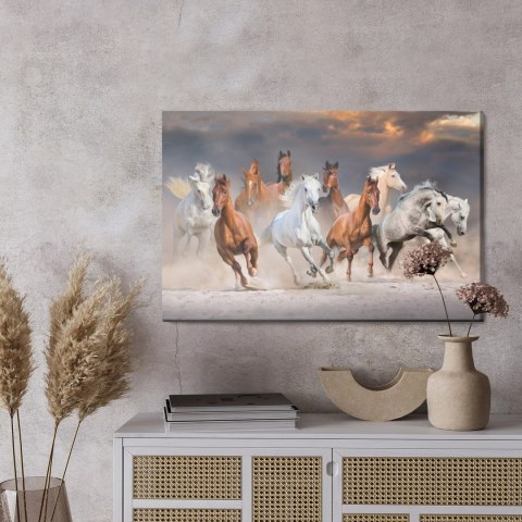 Obraz Na Płótnie Konie Na Pustyni