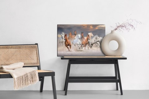 Obraz Na Płótnie Konie Na Pustyni