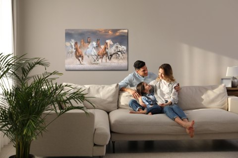 Obraz Na Płótnie Konie Na Pustyni