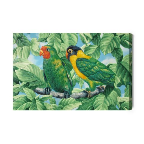 Obraz Na Płótnie Piękne Kolorowe Papugi