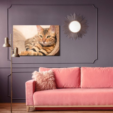 Obraz Na Płótnie Kot Bengalski