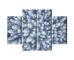 Obraz Wieloczęściowy Widok Z Lotu Ptaka Na Zimowy Las