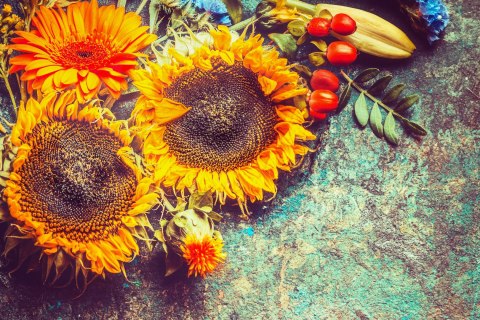 Obraz Na Płótnie Jesienna Kompozycja Kwiatowa W Stylu Vintage