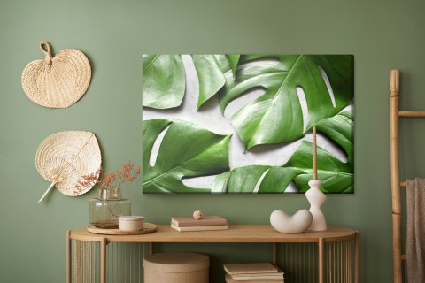 Obraz Na Płótnie Liście Monstery