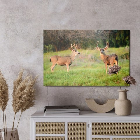 Obraz Na Płótnie Dwa Młode Jelenie