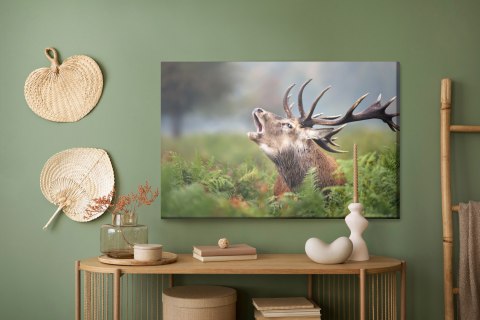 Obraz Na Płótnie Ryczący Jeleń