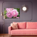 Obraz Na Płótnie Kwiaty Piwonii