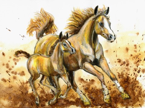 Obraz Na Płótnie Galopujące Konie Malowane Akwarelą