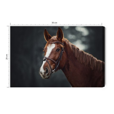 Obraz Na Płótnie Koń Na Tle Lasu