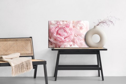 Obraz Na Płótnie Piwonie W Jasnym Różu