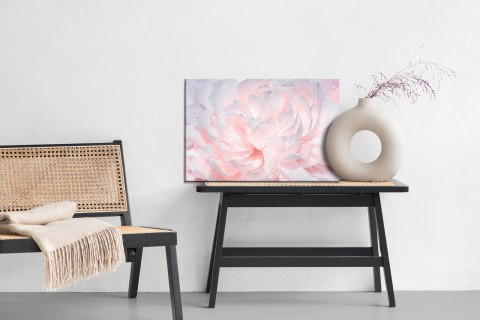 Obraz Na Płótnie Piwonie W Kroplach Wody