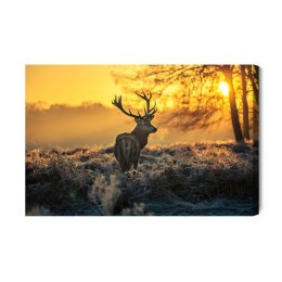 Obraz Na Płótnie Jeleń O Poranku