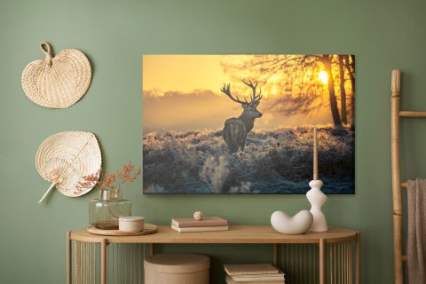 Obraz Na Płótnie Jeleń O Poranku
