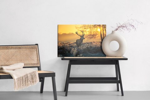 Obraz Na Płótnie Jeleń O Poranku