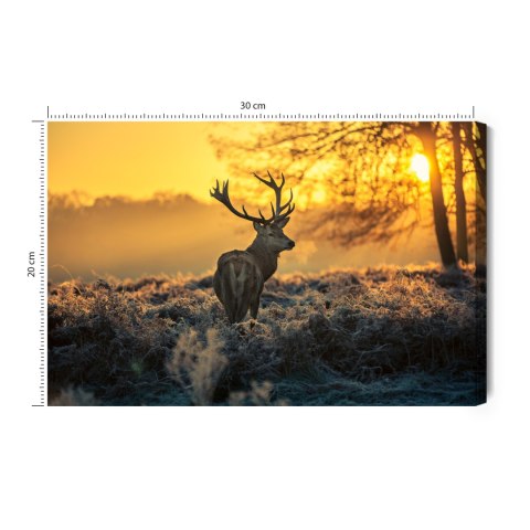 Obraz Na Płótnie Jeleń O Poranku