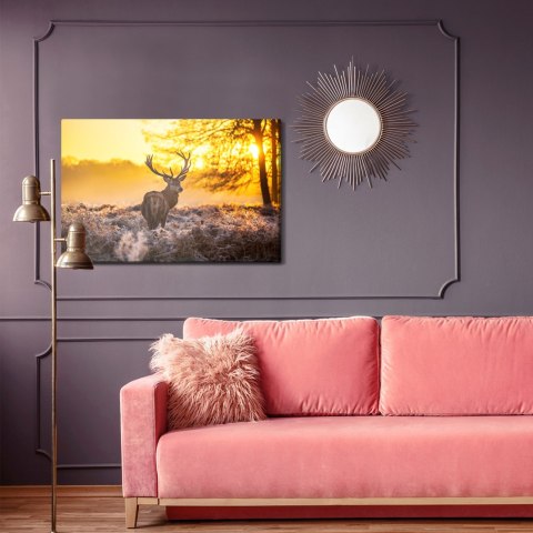 Obraz Na Płótnie Jeleń W Porannym Słońcu