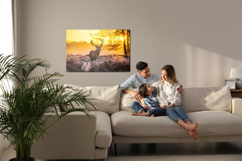 Obraz Na Płótnie Jeleń W Porannym Słońcu