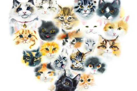 Obraz Na Płótnie Serce Z Kotów