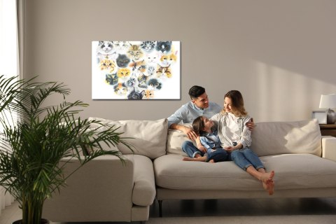 Obraz Na Płótnie Serce Z Kotów