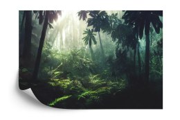 Fototapeta Dark Rainforest, Sun Rays Through The Trees, Rich Jungle Greenery. Atmospheric Fantasy Forest. 3D .