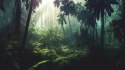 Fototapeta Dark Rainforest, Sun Rays Through The Trees, Rich Jungle Greenery. Atmospheric Fantasy Forest. 3D .