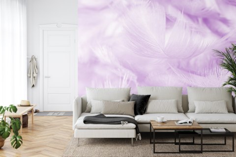 Fototapeta Pióra W Kolorze Fioletowym