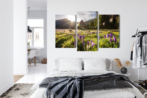 Obraz Wieloczęściowy Dolina Chochołowska W Tatrach 3D