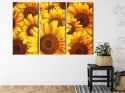 Obraz Wieloczęściowy Kwiaty Słonecznika 3D