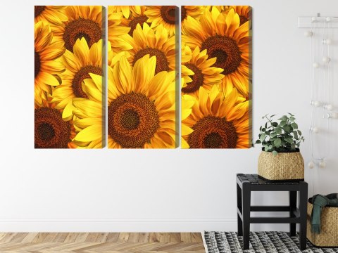 Obraz Wieloczęściowy Kwiaty Słonecznika 3D