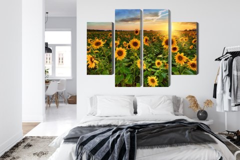 Obraz Wieloczęściowy Pole Słoneczników O Zachodzie Słońca 3D