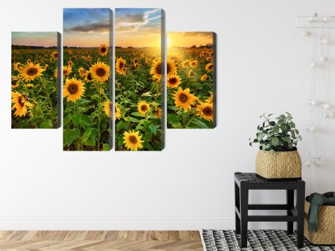 Obraz Wieloczęściowy Pole Słoneczników O Zachodzie Słońca 3D