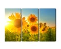 Obraz Wieloczęściowy Pole Słoneczników O Zachodzie Słońca 3D