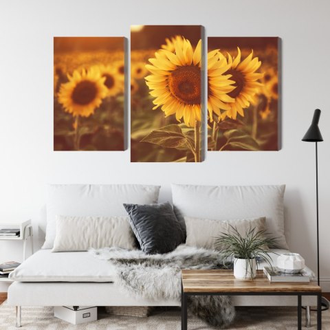 Obraz Wieloczęściowy Pole Słoneczników W Stylu Retro 3D