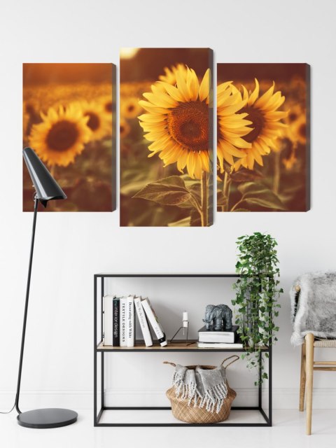 Obraz Wieloczęściowy Pole Słoneczników W Stylu Retro 3D