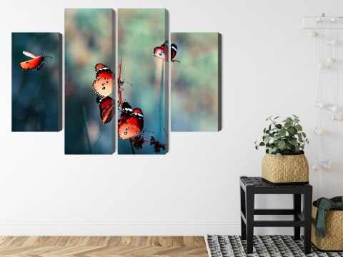 Obraz Wieloczęściowy Kolorowe Motyle W Skali Makro