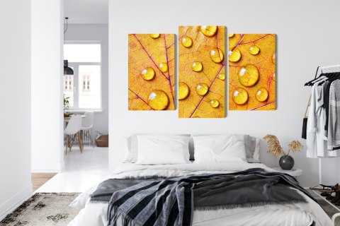 Obraz Wieloczęściowy Krople Wody Na Jesiennym Liściu Makro