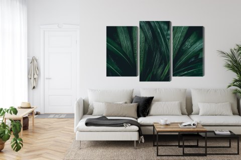 Obraz Wieloczęściowy Liście Ciemnozielone W Skali Makro