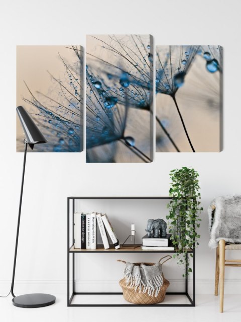 Obraz Wieloczęściowy Mlecze Z Kropelkami Wody W Skali Makro