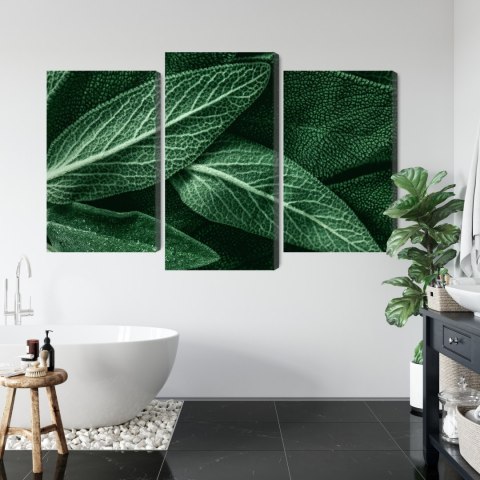 Obraz Wieloczęściowy Szałwia Odchodzi W Skali Makro