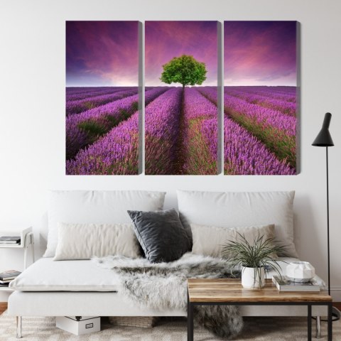 Obraz Wieloczęściowy Drzewo Pośrodku Lawendowego Pola 3D