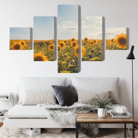 Obraz Wieloczęściowy Pole Słoneczników W Letni Dzień 3D