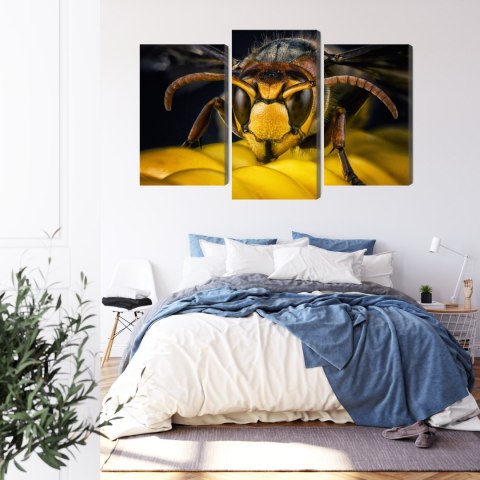 Obraz Wieloczęściowy Osa W Skali Makro