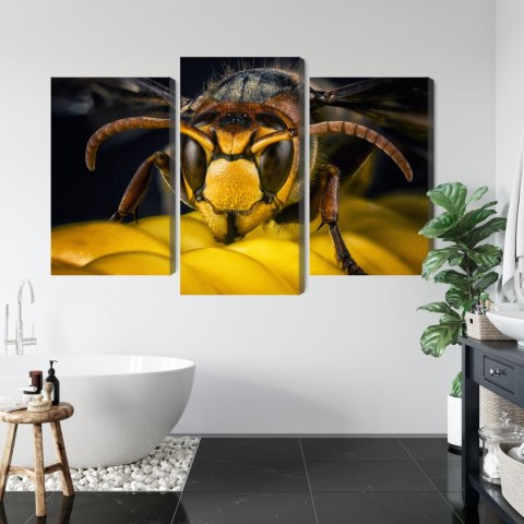 Obraz Wieloczęściowy Osa W Skali Makro