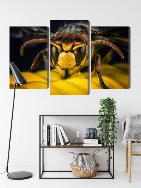 Obraz Wieloczęściowy Osa W Skali Makro