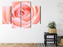 Obraz Wieloczęściowy Pastelowa Róża W Makroskali 3D