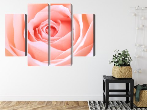 Obraz Wieloczęściowy Pastelowa Róża W Makroskali 3D