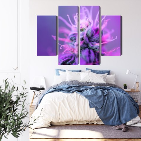 Obraz Wieloczęściowy Roślina Makro Na Różowo-Fioletowym Tle