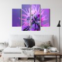 Obraz Wieloczęściowy Roślina Makro Na Różowo-Fioletowym Tle
